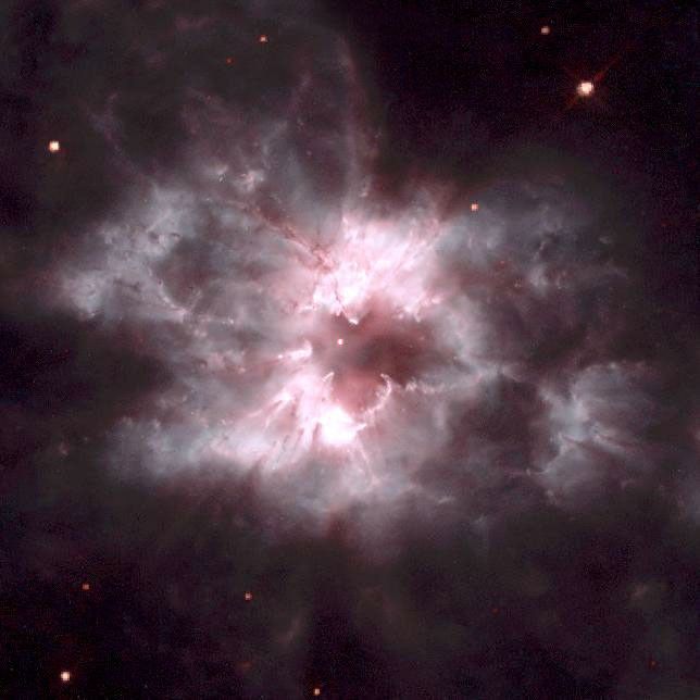 A red center surrounded by lobes of red, pink, gray, and white.